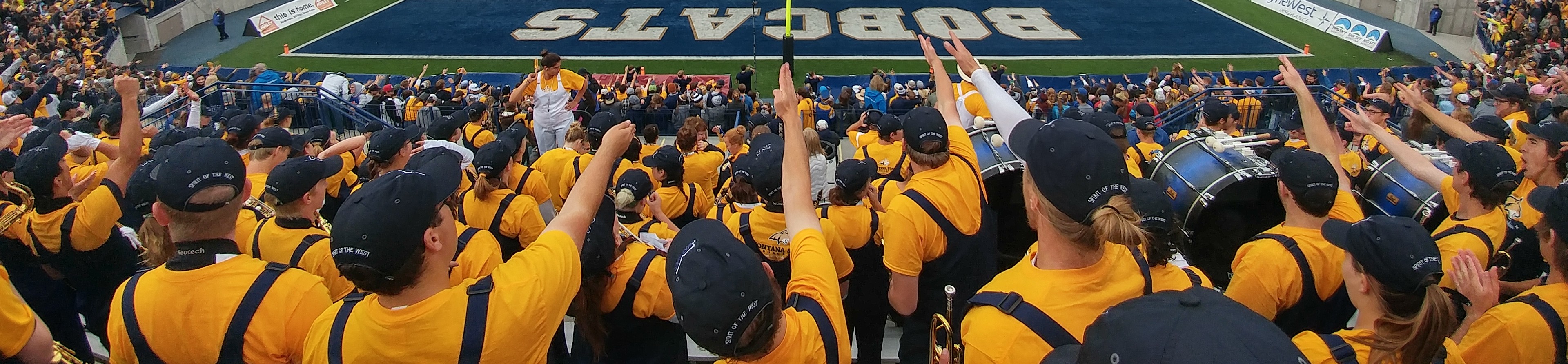 The SotW in the stands